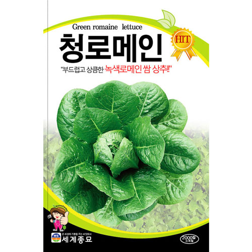 green romaine lettuce seed  ( 2000 seeds )