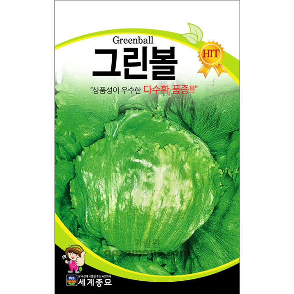 lettuce seed  ( 2g )