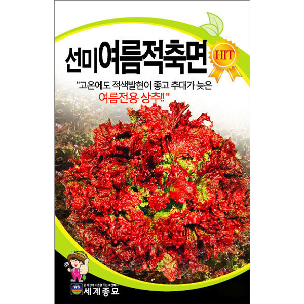 red lettuce seed  ( 3000 seeds )