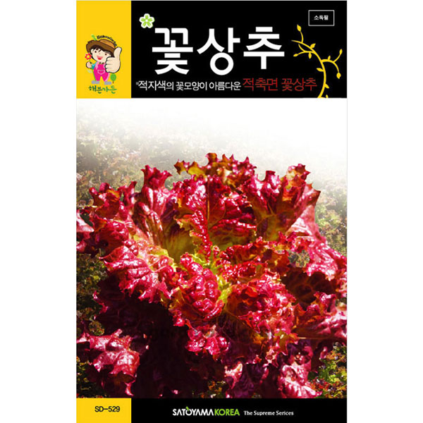 red lettuce seed  ( 3000 seeds )