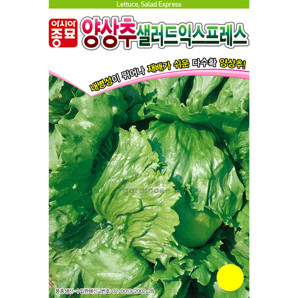 lettuce seed ( 1500 seeds )