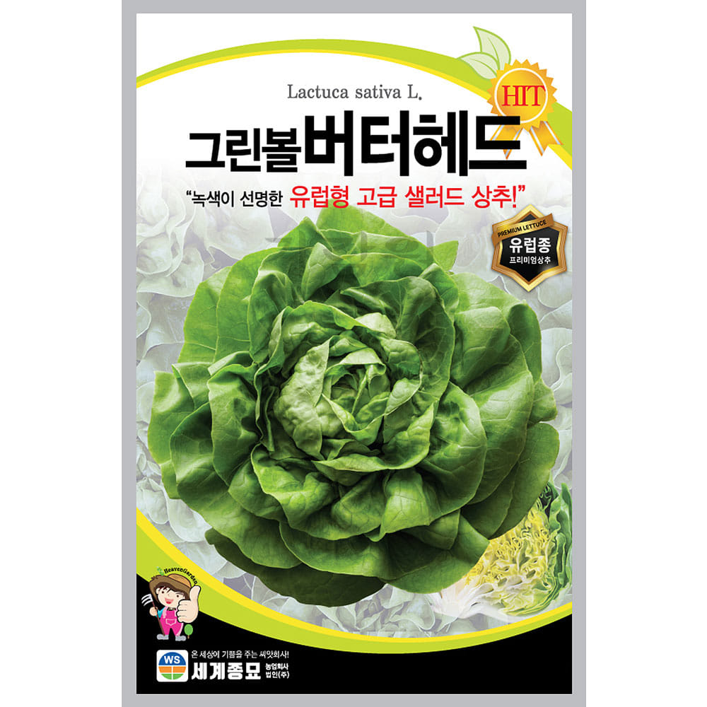 lettuce seed ( 1000 seeds )