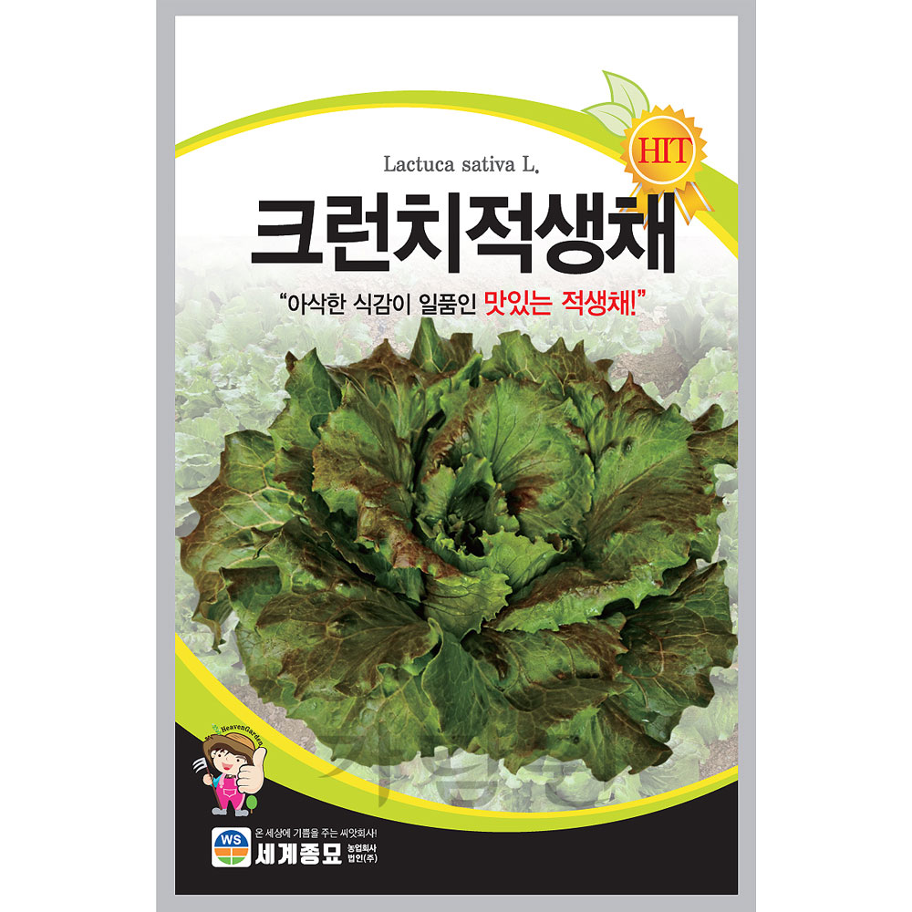 red lettuce seed ( 1000 seeds )