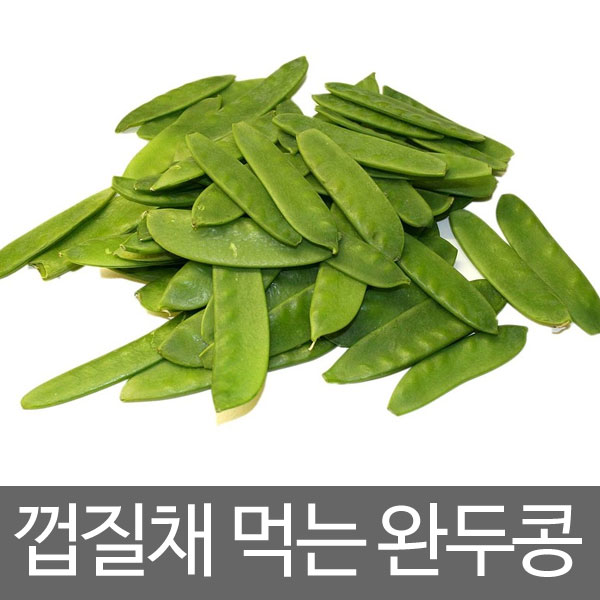 pea seed (20g seeds)