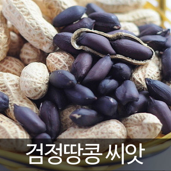 black peanut seed (50 seeds)