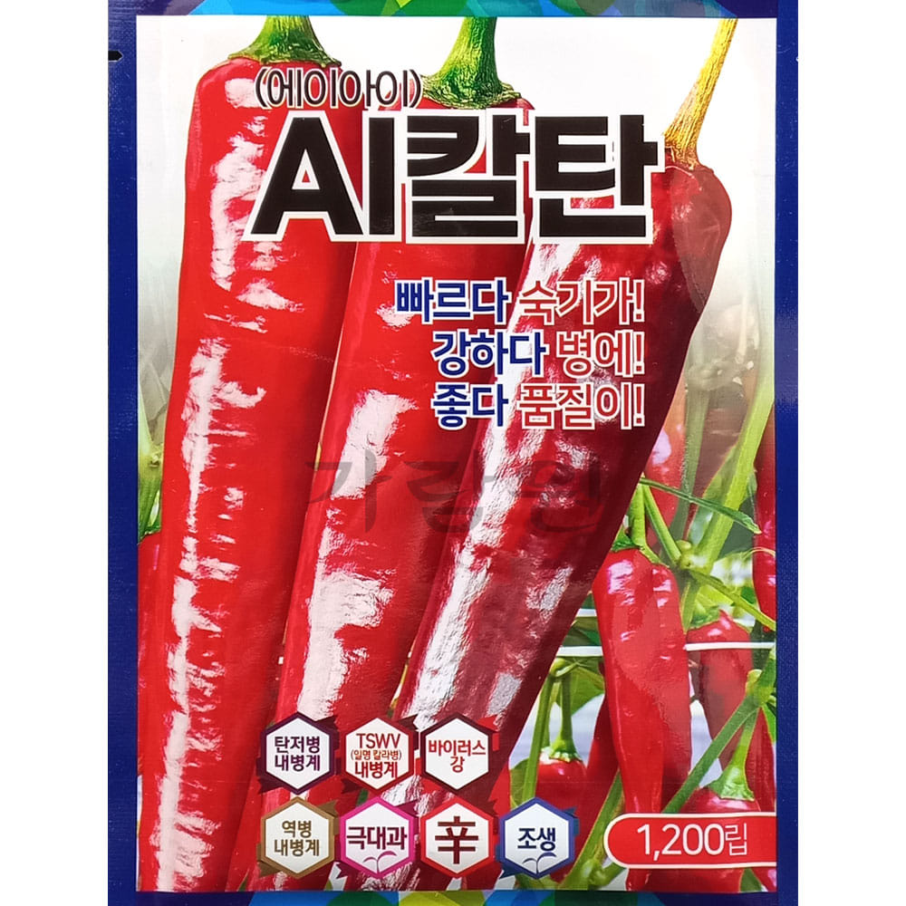 hot pepper seed (1200 seeds)