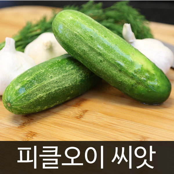 pickle cucumber seed (50 seeds)