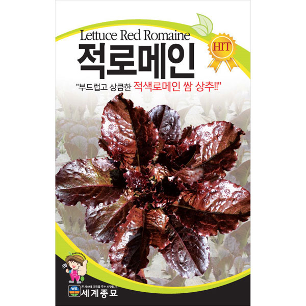red romaine lettuce seed  ( 2000 seeds )