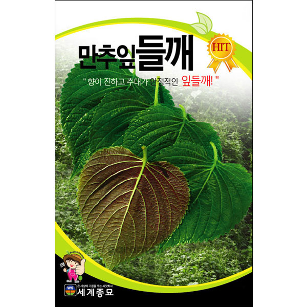 deep smell perilla seed  ( 1000 seeds )