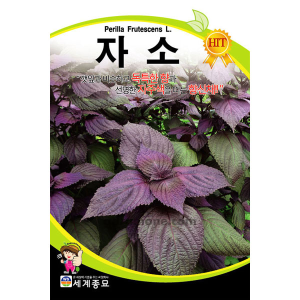 purple perilla seed ( 2g )