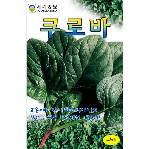 spinach seed  ( 30g )