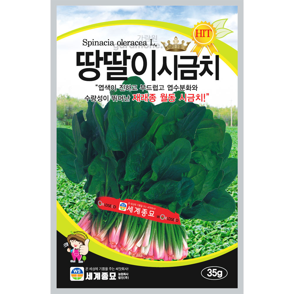 korea spinach seeds 35g