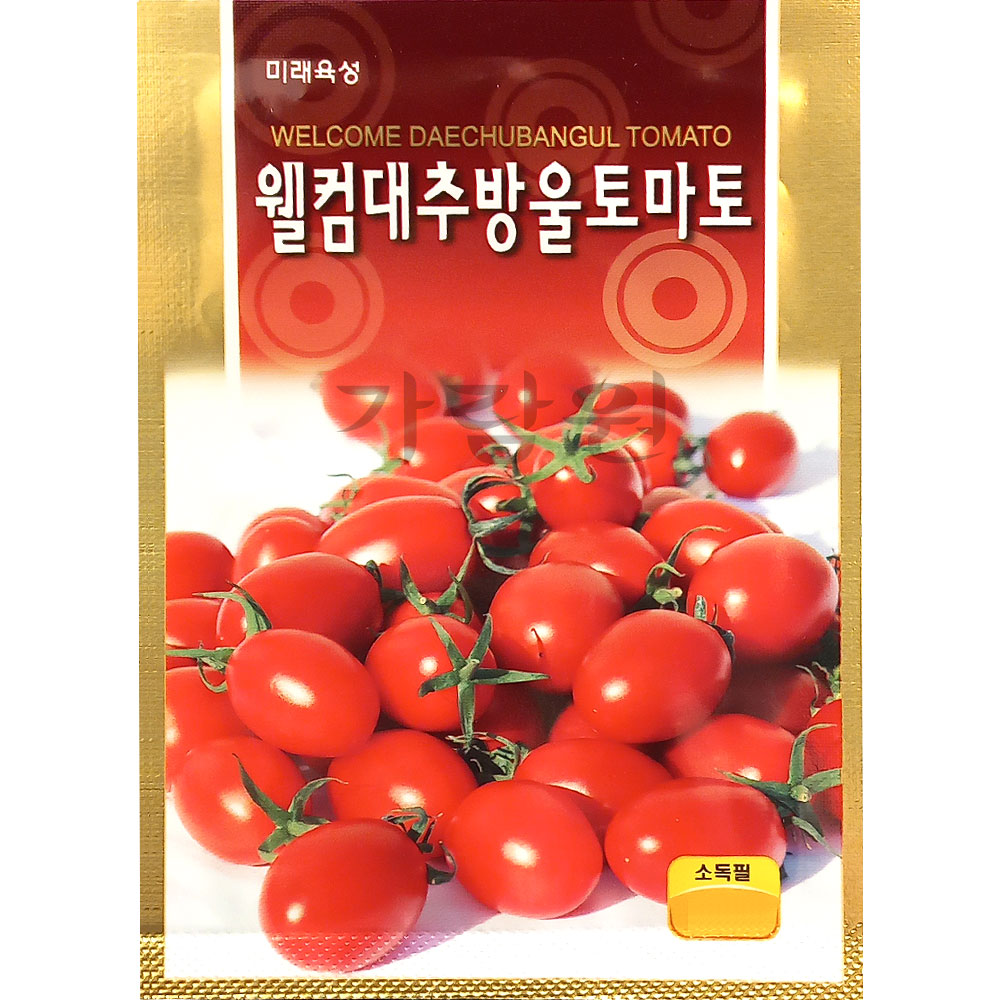 tomato seed ( 30 seeds )