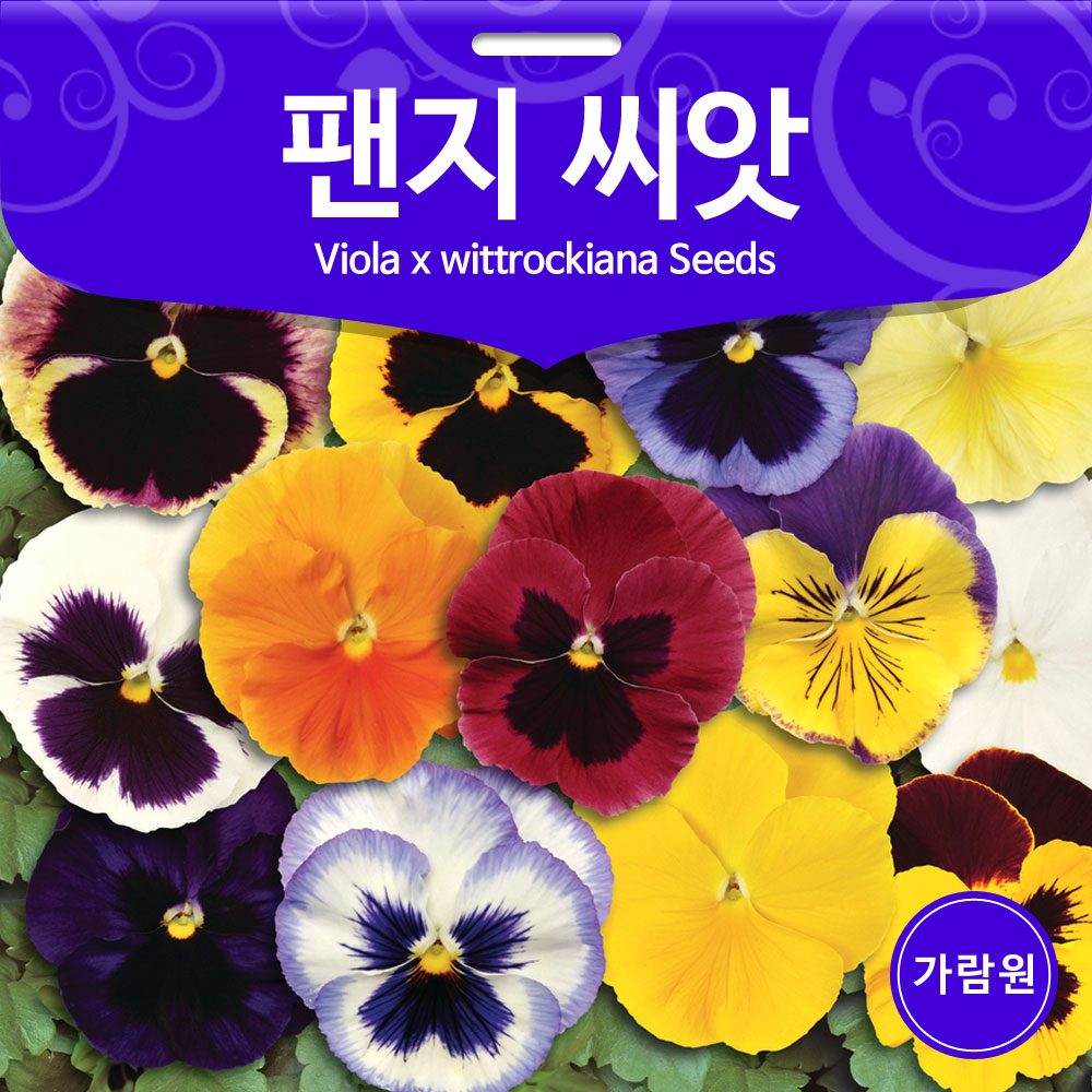 mix viola seed ( 200 seeds )