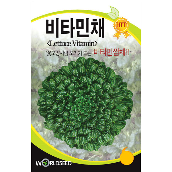 lettuce vitamin seed  ( 2000 seeds )